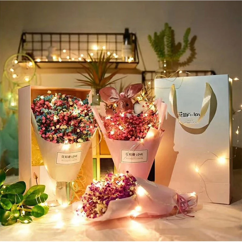 Weihnachtsbaum Hochzeitsfeier  – Led Fairy String Lights Bewertung und Preis
