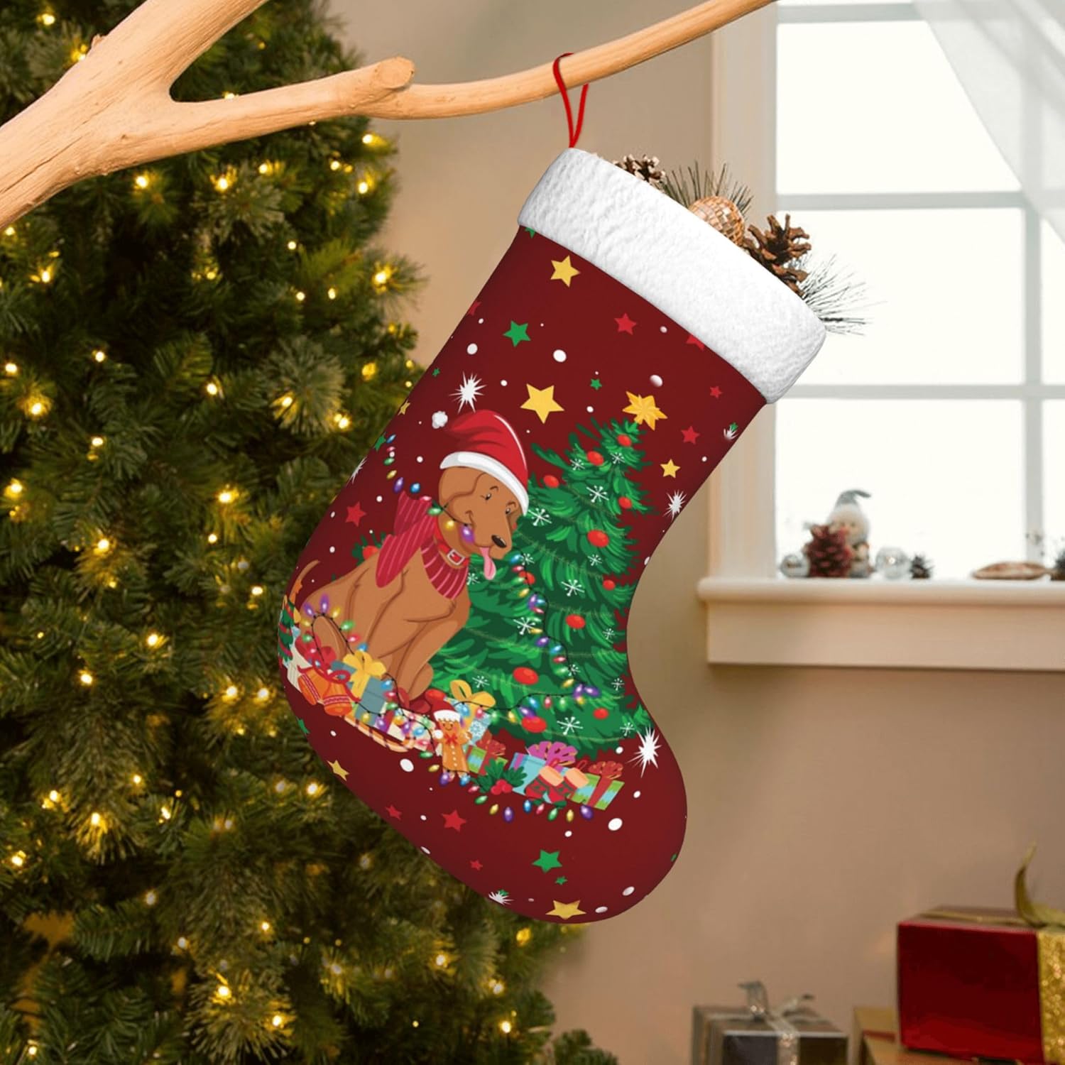 Weihnachts-Hunde-Licht-Design, – Christmas Stocking Hanging Bewertung und Preis
